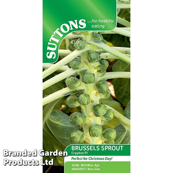 Brussels Sprout Cryptus F1 Seeds
