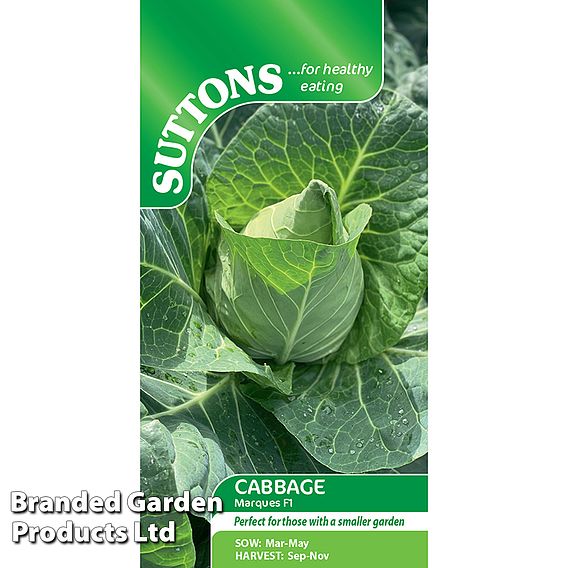 Cabbage Seeds - Marques F1 (Autumn Sweetheart Type)