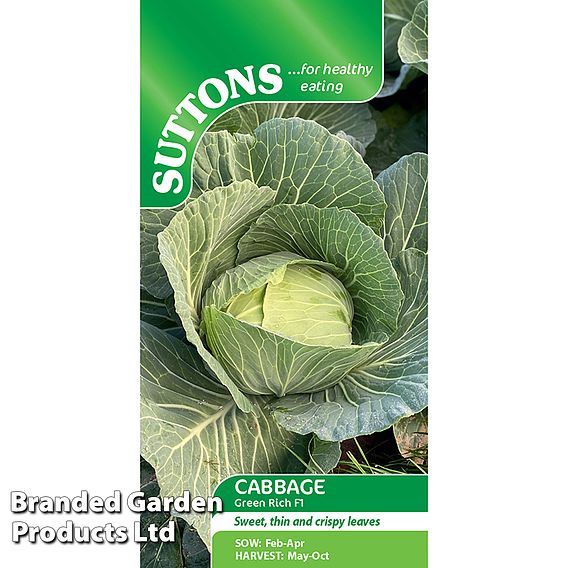 Cabbage Seeds - Green Rich F1 (Summer/Autumn)