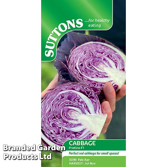 Cabbage 'Pretino' F1 - Seeds
