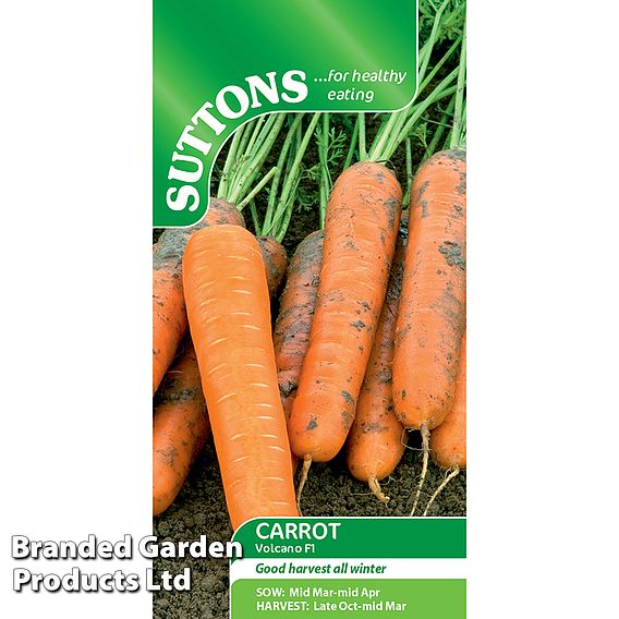 Carrot Volcano F1 (Late Maincrop) - Seeds