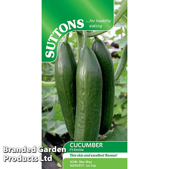 Cucumber Emilie F1 Hybrid Seeds