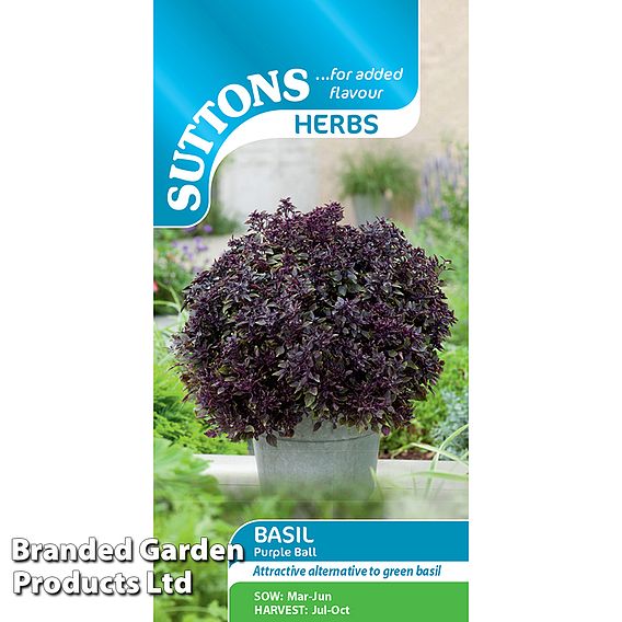 Basil Purple Ball Seeds