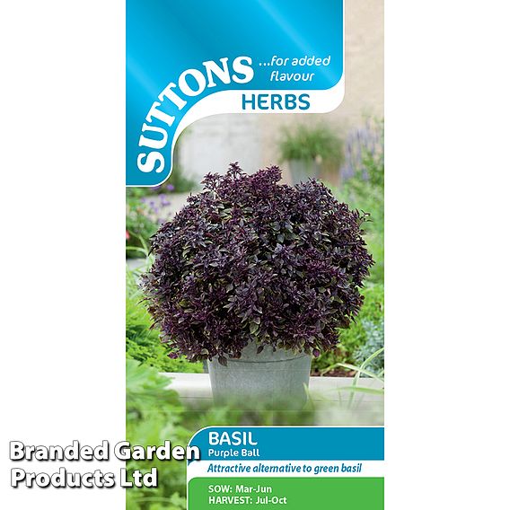 Basil 'Purple Ball' - Seeds