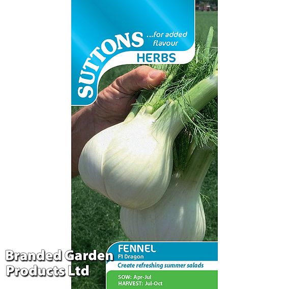 Fennel Dragon F1 Hybrid Seeds