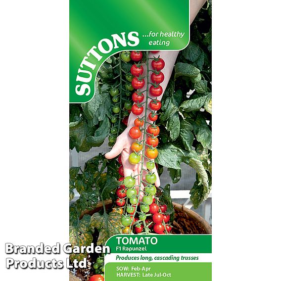 Tomato Rapunzel F1 - Seeds