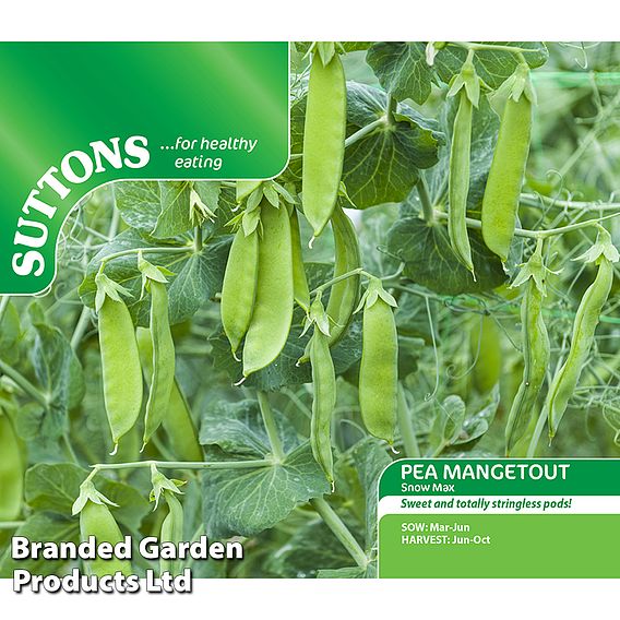 Pea Snow Max (Mangetout) Seeds