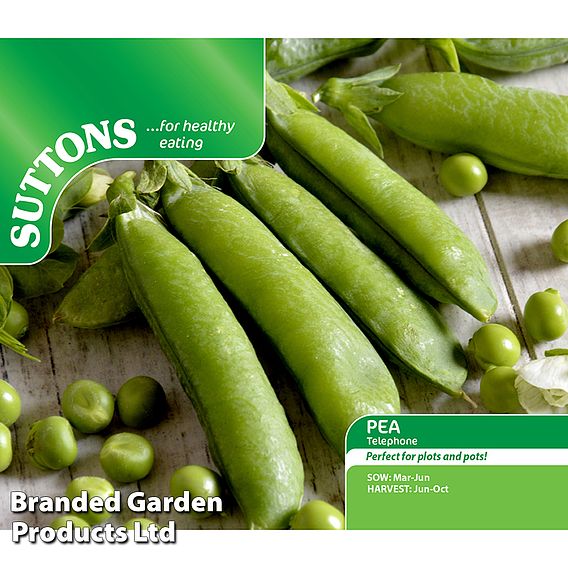 Pea Telephone Seeds