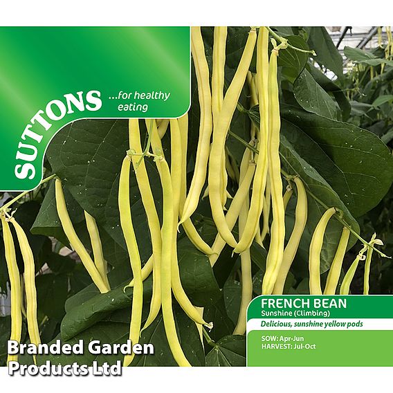 Climbing Bean French Sunshine Seeds