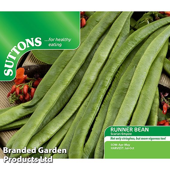 Runner Bean 'Scarlet Empire' - Seeds