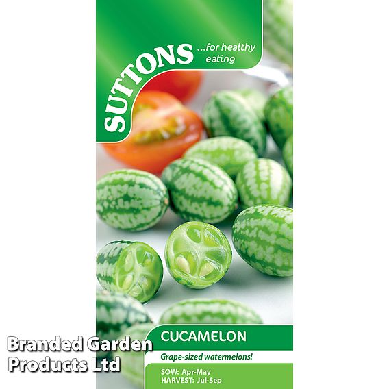 Cucumber Seeds - Cucamelon