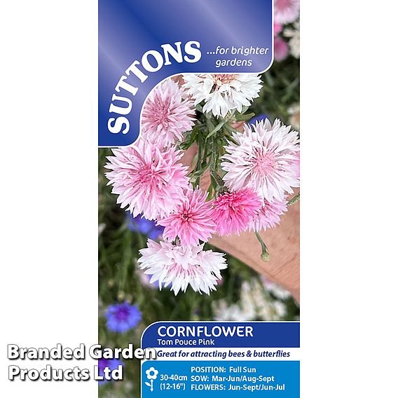 Cornflower 'Tom Pouce Pink' - Seeds