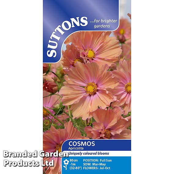 Cosmos 'Apricotta' - Seeds