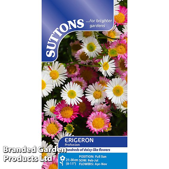 Erigeron karvinskianus 'Profusion ' - Seeds