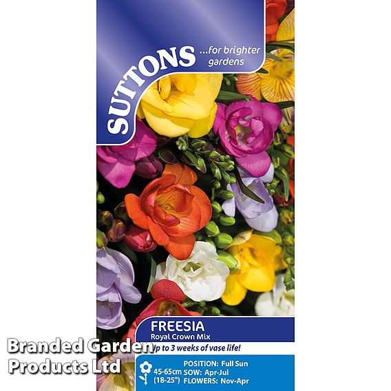 Freesia 'Royal Crown Mix' - Seeds