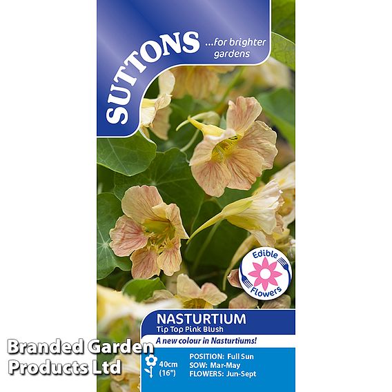 Nasturtium 'Tip Top Pink Blush' - Seeds