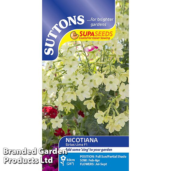 Nicotiana 'Sirius Lime' F1 - Seeds