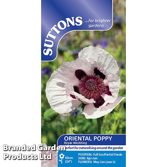 Poppy 'Royal Wedding' - Seeds