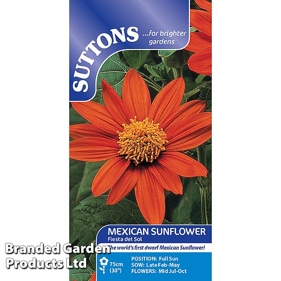 Tithonia rotundifolia 'Fiesta del Sol' - Seeds