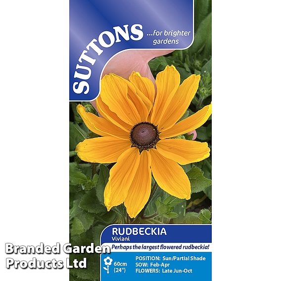 Rudbeckia 'Viviani' - Seeds