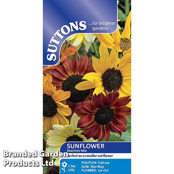 Sunflower 'Beaches Mix' - Seeds