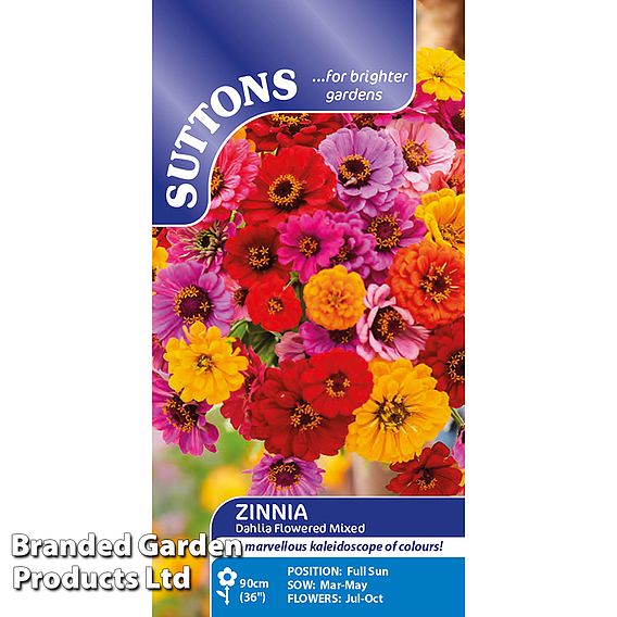 Zinnia 'Dahlia Flowered Mixed' - Seeds