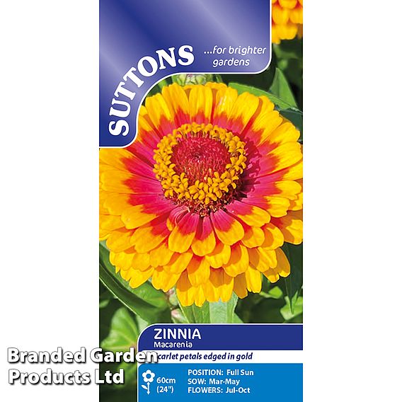 Zinnia 'Macarenia' - Seeds