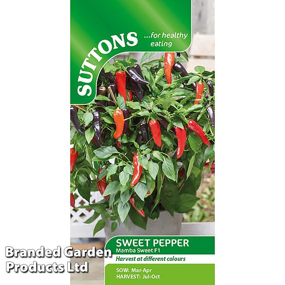Sweet Pepper 'Mamba Sweet' F1 - Seeds