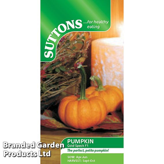 Pumpkin 'Gold Speck' F1 - Seeds