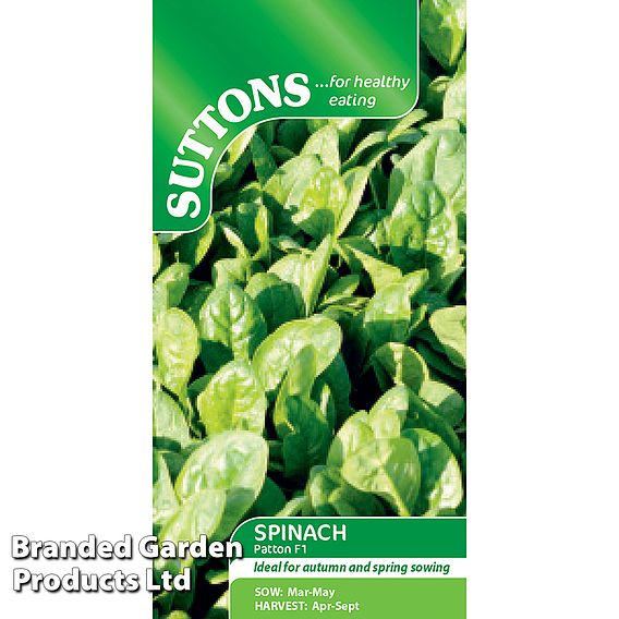 Spinach 'Patton' F1 - Seeds