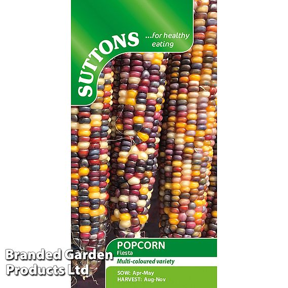 Sweetcorn (Popcorn) 'Fiesta' - Seeds