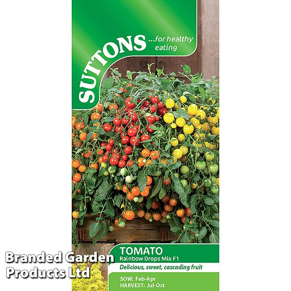 Tomato 'Rainbow Drops Mix' F1 - Seeds