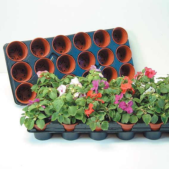Growing-on Trays & Pots (Large)