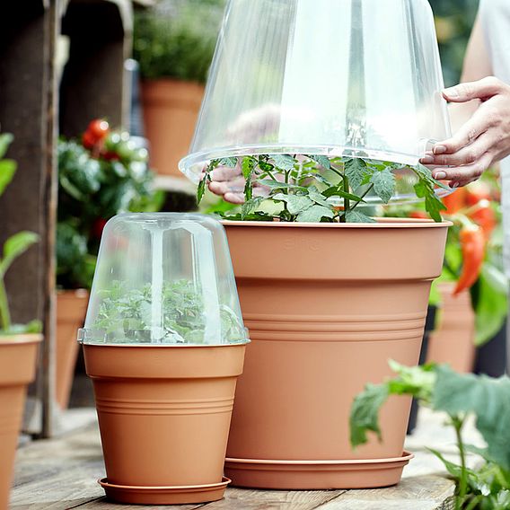 Terracotta Effect Grow Pot + Bell Cover + Saucer
