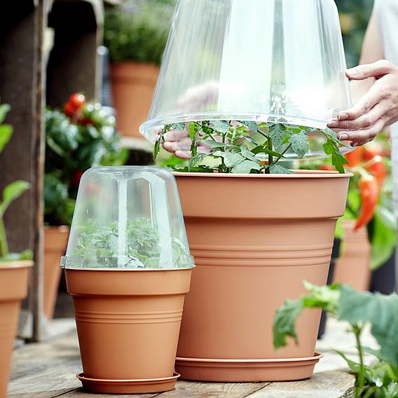 Terracotta Effect Grow Pot + Bell Cover + Saucer