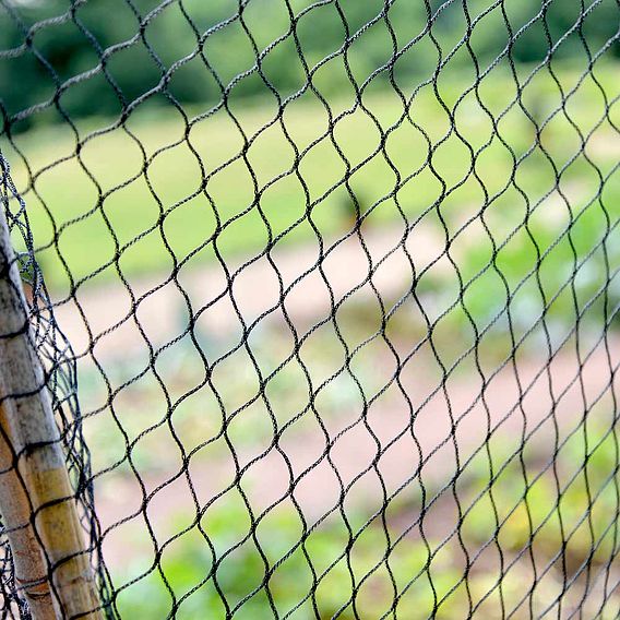 Superior Fruit Cage Net
