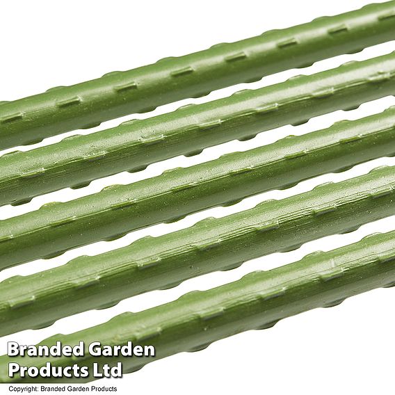Plant Support Canes