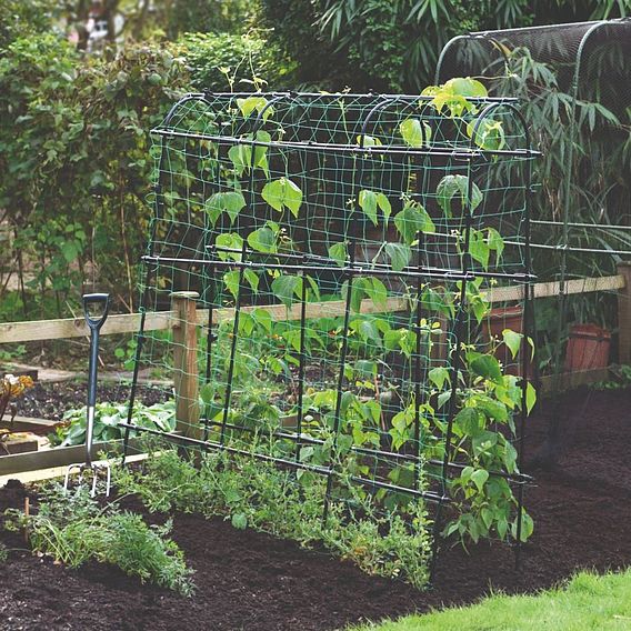 Garden Gear Pea & Bean Tunnel