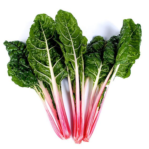 Swiss Chard Seeds - Peppermint