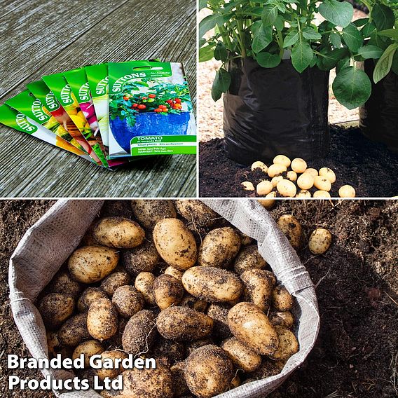 Suttons Potato Patio Kit