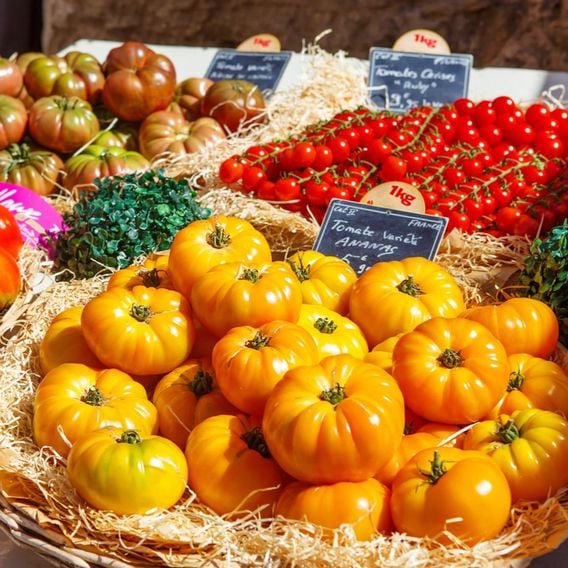 Tomato 'Pineapple' - Heirloom Tomato Seeds