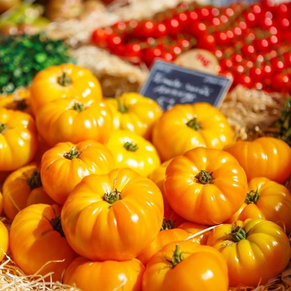 Tomato 'Pineapple' - Heirloom Tomato Seeds