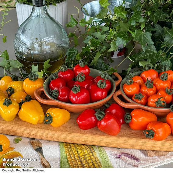 Tomato 'Appleberry Series' F1 - Seeds