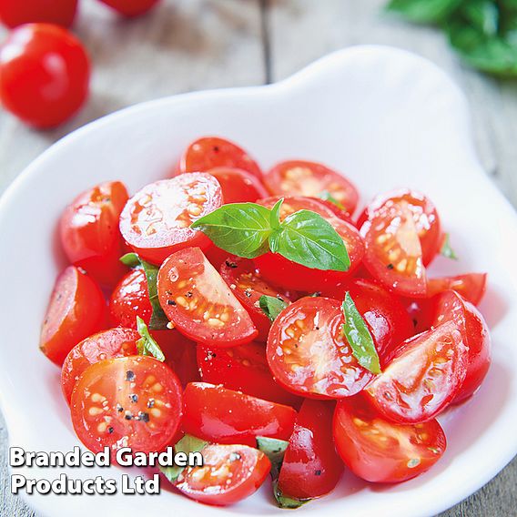 Tomato Bite Size Seeds