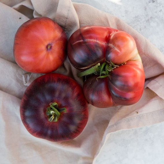 Tomato 'Blue Beauty' - Heirloom Tomato Seeds