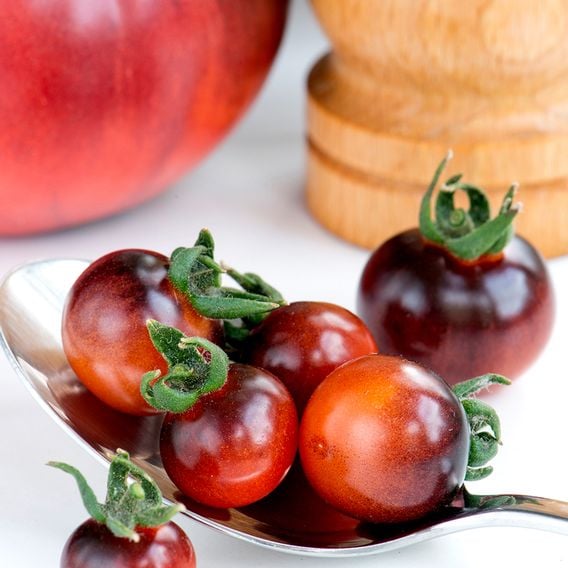 Tomato 'Blue Berries' - Heirloom Tomato Seeds