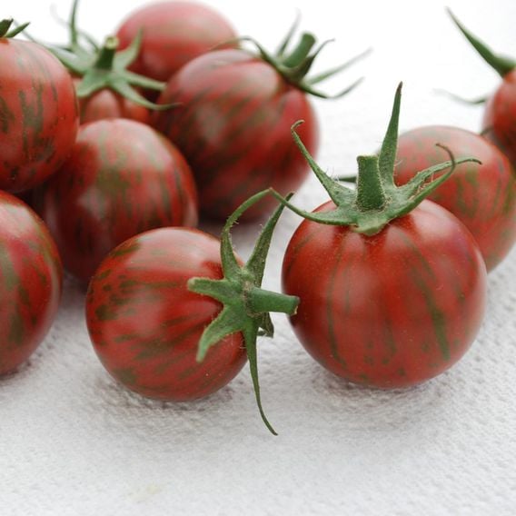 Tomato 'Purple Bumblebee' - Heirloom Tomato Seeds