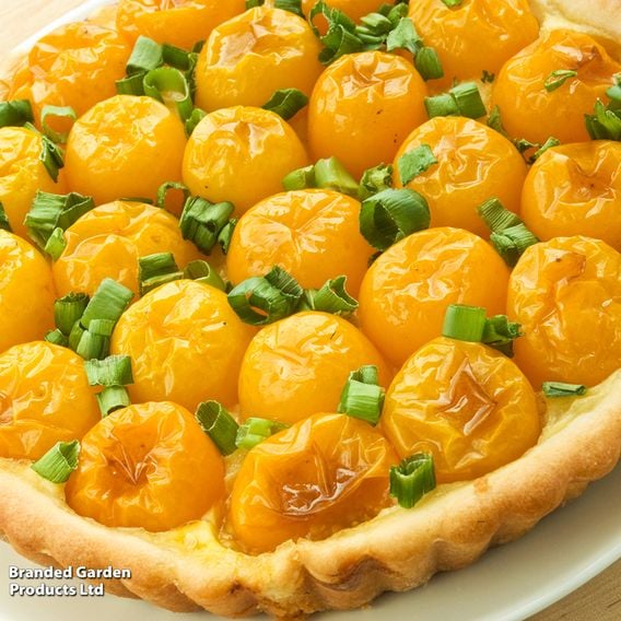 Tomato 'Honeycomb' - Gourmet Veg Seeds