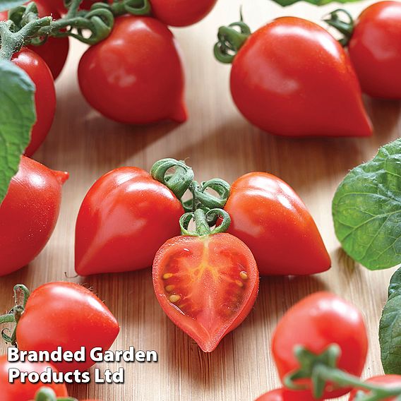 Tomato 'Heartbreakers Vita' F1 - Seeds