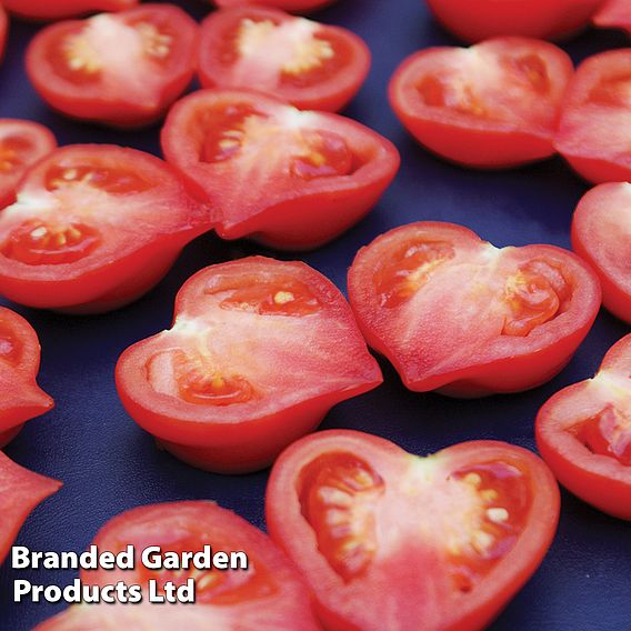 Tomato 'Heartbreakers Vita' F1 - Seeds